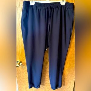 Express drawstring pants!  Size large